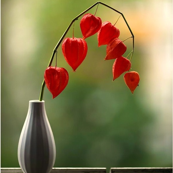 ClosetCleanOutPrices - Picture 7 of 9